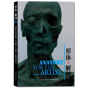 形体解剖 艺用解剖学 吉林美术出版社 pdf epub mobi 电子书 下载