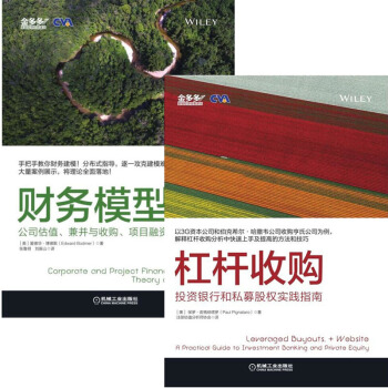 杠杆收購 投資銀行和私募股權實踐指南+財務模型：公司估值兼並與收購項目融資私募股權基金投資理財j4c pdf epub mobi 下载