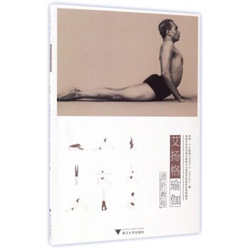 艾揚格瑜伽進階教程 pdf epub mobi 下载