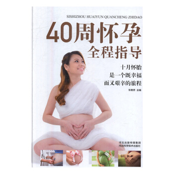40周怀孕全程指导 孕产/胎教 书籍 pdf epub mobi 下载