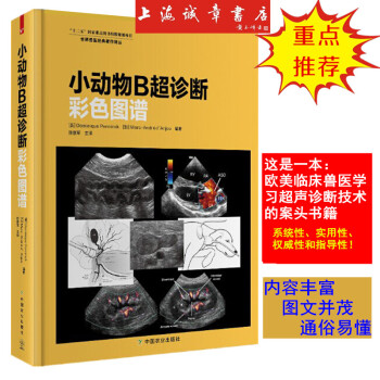 q2小動物B超診斷彩色圖譜 世界獸醫經典著作譯叢 小動物生病犬貓B超超聲寵物臨床醫師鑒彆 pdf epub mobi 電子書 下載