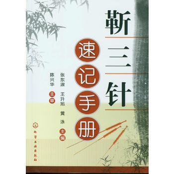 靳三针速记手册 pdf epub mobi 电子书 下载