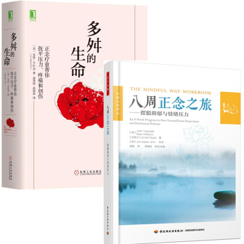 现货正版多舛的生命：正念疗愈帮你抚平压力、疼痛和创伤原书第2版+八周正念之旅摆脱抑郁与情绪压力万千心 pdf epub mobi 下载