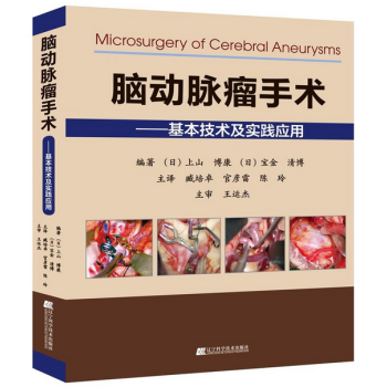 脑动脉瘤手术——基本技术及实践应用 pdf epub mobi 下载