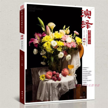 2018正版主题教学演绎色彩照片工具书花卉器皿杂物文具艺考绘画书 pdf epub mobi 下载