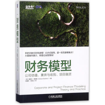 财务模型:公司估值.兼并与收购.项目融资