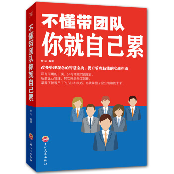 不懂带团队你就自己累 中层管理领导力提升 激励员工团队管理方面的书籍 pdf epub mobi 下载