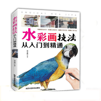 正版水彩画技法从入门到精通 水彩画基础知识教程 水彩书籍教材入门学生成人手绘素描绘画入门自学零基础 pdf epub mobi 下载
