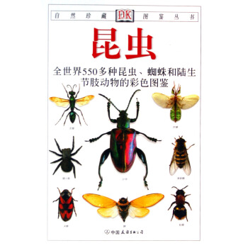 昆虫/自然珍藏图鉴丛书