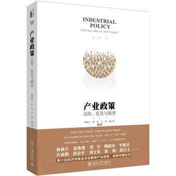 正版:产业政策:总结、反思与展望 9787301265437