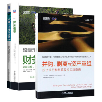 现货两册 财务模型 公司估值 兼并与收购 项目融资+并购 剥离与资产重组 投资银行和私募 pdf epub mobi 下载