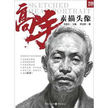 高手——素描头像 罗远辉 重庆出版社 pdf epub mobi 下载