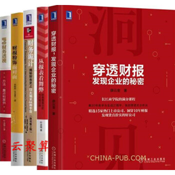穿透财报 发现企业的秘密+从报表看舞弊 财务报表分析与风险识别+IPO财务透视方法+财报粉 pdf epub mobi 下载