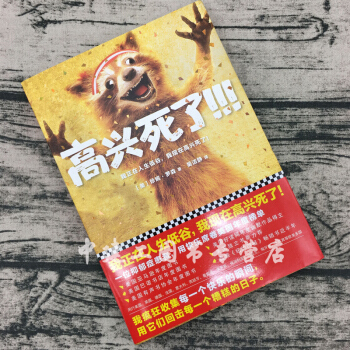 【正版包邮】高兴死了 珍妮罗森著 焦虑症抑郁症自我治疗书籍 幽默感人的散文故事集 外国文学畅销书籍 pdf epub mobi 电子书 下载