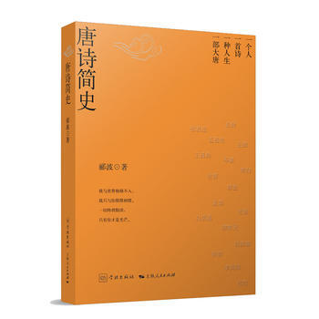 唐诗简史 郦波 学林出版社 pdf epub mobi 下载