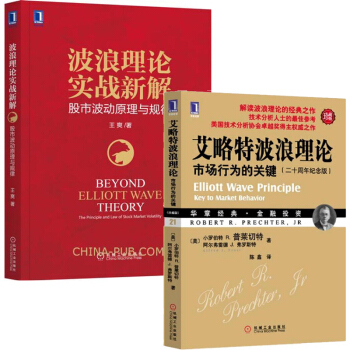 波浪理论实战新解 股市波动原理与规律+艾略特波浪理论市场行为的关键股市图谱趋势图分析技术书籍 pdf epub mobi 下载