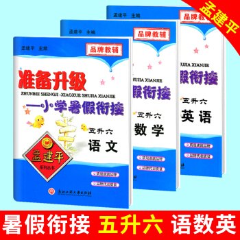 vb套装3本 孟建平五年级下册试卷 准备升级小学暑假衔接五升六 语文数学英语 五年级升六年 pdf epub mobi 下载
