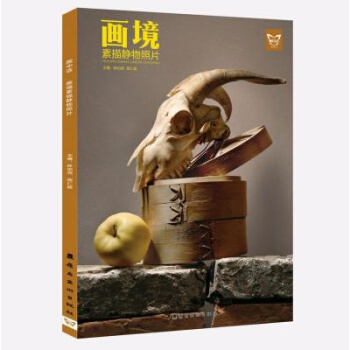 正版 画中话 画境 素描静物照片 美术高考静物照片书 pdf epub mobi 下载