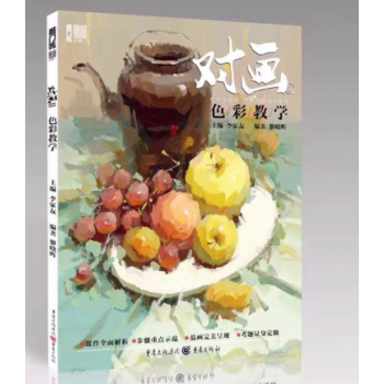 2017敲门砖对画2色彩教学 黎晓晖著