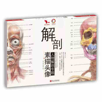 2018解剖素描頭像人物解剖專題 頭像素描五官解析頭像結構結構與明暗素描頭像 pdf epub mobi 下载
