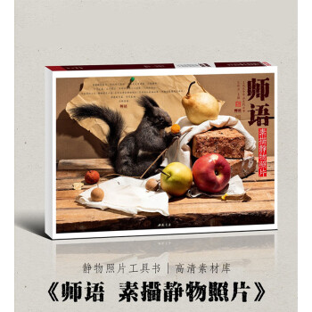 2018 主題教學 師語素描靜物照片書 靜物照片工具書 高清素材庫 畫照片基礎入門教程塑造空間光影 pdf epub mobi 下载