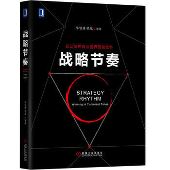 战略节奏 在动荡的商业世界超越竞争 朱恒源 杨斌 PRE-M模型 企业产品开发转型书籍 pdf epub mobi 下载