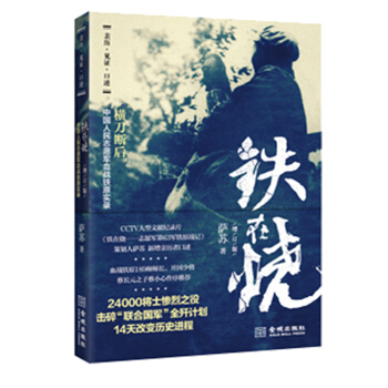 铁在烧 志愿军第63军铁原战记 中国人民志愿军血战铁原实录 pdf epub mobi 电子书 下载