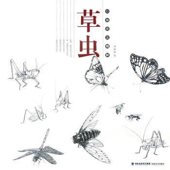 草虫/白描技法精解
