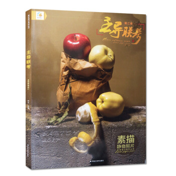 2017教学笔记主导联考第二季素描静物照片钟文编画照片基础入门教程塑造空间光影高考艺考联考美术书 pdf epub mobi 电子书 下载