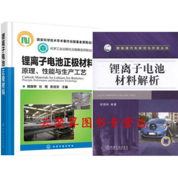 锂离子电池材料解析+锂离子电池正极材料 原理 性能与生产工艺 三元新能源汽车电池结构构造设 pdf epub mobi 下载