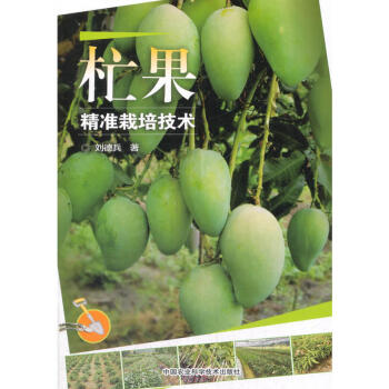 正版 杧果精准栽培技术 农业林业 芒果营养价值与经济价值 芒果的生物学特性 芒果苗木繁殖 pdf epub mobi 下载