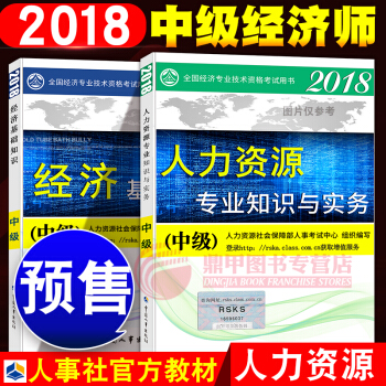 中級經濟師2018教材 人力資源2本套 pdf epub mobi 下载