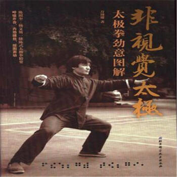 非视觉太极-太极拳劲意图解 pdf epub mobi 下载