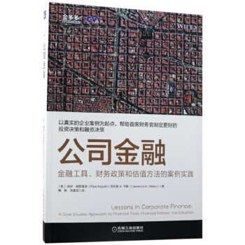 公司金融(金融工具财务政策和估值方法的案例实践)/金多多金融投资经典译丛 pdf epub mobi 下载