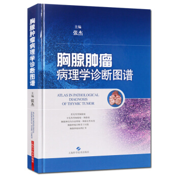 胸腺肿瘤病理学诊断图谱 医学书籍 正版书籍 pdf epub mobi 下载