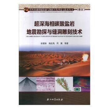 超深海相碳酸盐岩地震勘探与缝洞雕刻技术 pdf epub mobi 下载
