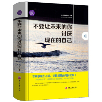 不要让未来的你讨厌现在的自己 成功学励志畅销书籍 pdf epub mobi 下载