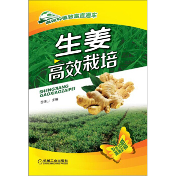 生姜高效栽培 高效种植致富直通车 生姜栽培技术 病虫害防治 农作物种植技术 蔬菜栽培管理技术大全 农