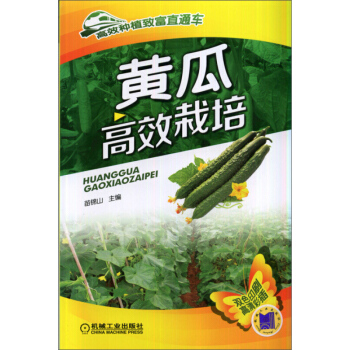 黄瓜高效栽培 高效种植致富直通车 黄瓜栽培技术 病虫害防治 农作物种植技术 蔬菜水果栽培管理技术大全