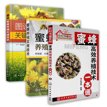 养蜂书籍 蜜蜂高效养殖技术 一本通+实用技术+关键技术 全套3共册 养蜂技术 蜜蜂养殖技术大全书籍