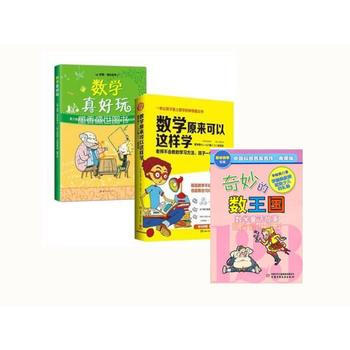 數學真好玩 天哪 數學原來可以這樣學 奇妙的數王國3冊少兒童數學書籍 pdf epub mobi 下载