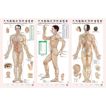 人體經絡穴位標準掛圖（套）（男性）（1套3張掛圖）醫學掛圖用圖 男性人體經絡大掛圖傢用中醫美體針灸艾 pdf epub mobi 電子書 下載