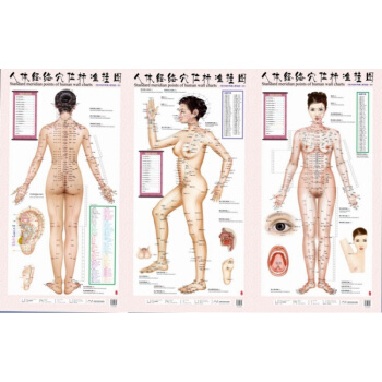 人体经络穴位标准挂图（女性）（1套3张挂图）女性人体穴位经络大挂图中医美体针灸艾灸养生穴 pdf epub mobi 电子书 下载