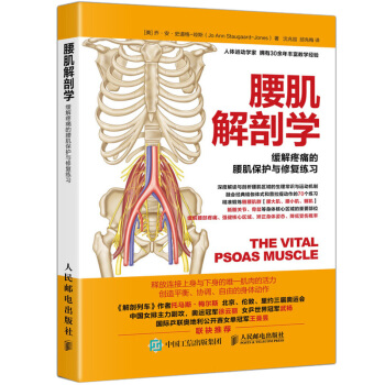 正版 腰肌解剖學 緩解疼痛的腰肌保護與修復練習 運動健身書運動恢復腰傷矯正體態瑜伽體式普 pdf epub mobi 電子書 下載