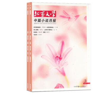 现货包邮 北京文学中篇小说月报2018年3-4月组合 杂志铺 文学文摘期刊书籍 pdf epub mobi 下载