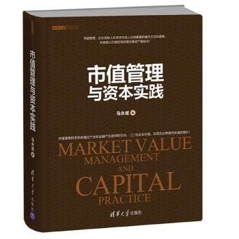 市值管理与资本实践(精)/资本之道系列丛书 pdf epub mobi 下载