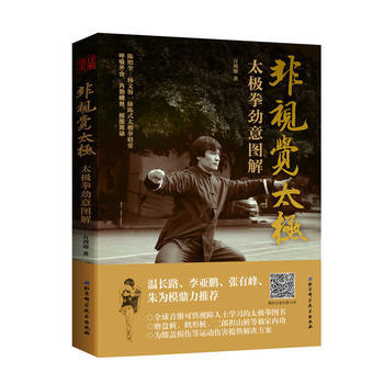 非視覺太極——太極拳勁意圖解 pdf epub mobi 下载