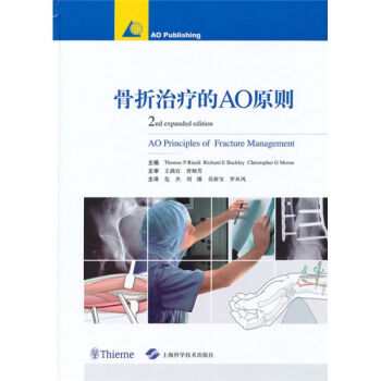 治疗的AO原则 瑞士鲁迪加巴克利英莫兰 医学 书籍 pdf epub mobi 电子书 下载