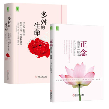 現貨 多舛的生命：正念療愈幫你撫平壓力、疼痛和創傷（原書第2版）+正念：此刻是一枝花 2冊套裝 pdf epub mobi 下载