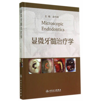 显微牙髓治疗学